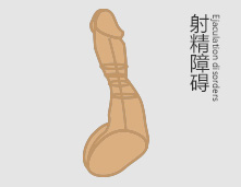 ϰ