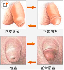 ΣЩ